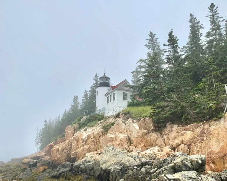 Bass Harbor Campground