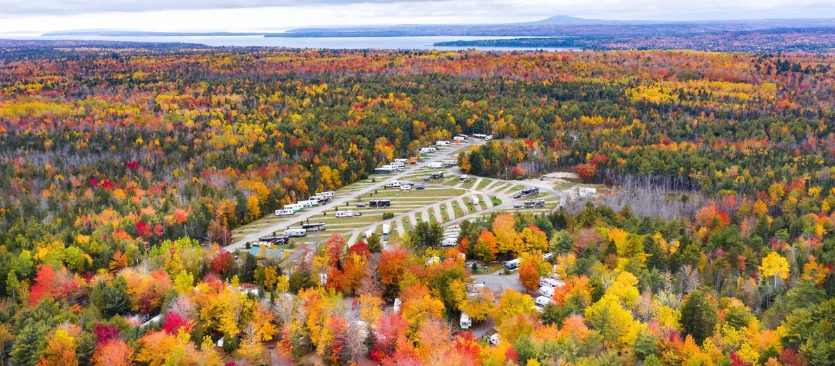 Timberland Acres Rv Park