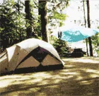 Cathedral Pines Camp Ground