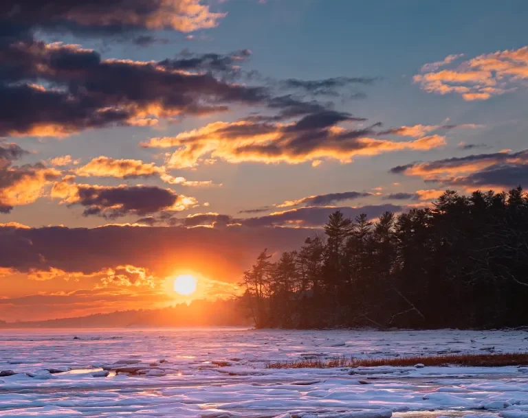 Recompence Shore Campsites