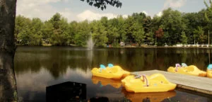 Paradise Park Camp Sites