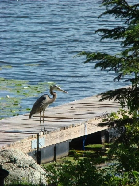 Pine Acres Family Camping