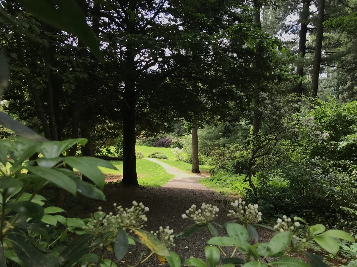 Trustees Of Reservations