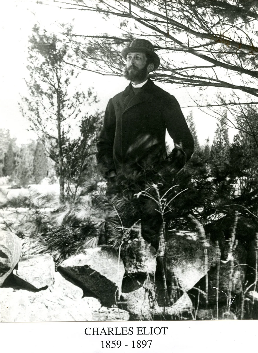 Trustees Of Reservations