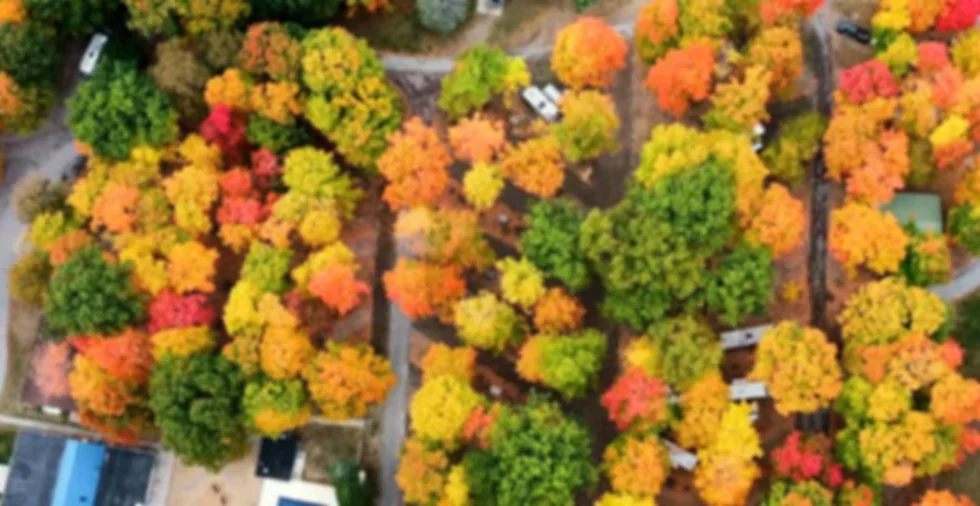 Chain-o-lakes Campground