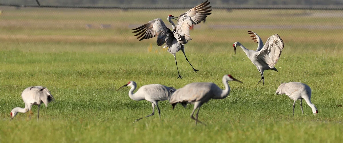 Greenwood Acres Family Cmpgrnd