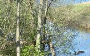 Krystal Lake Campground