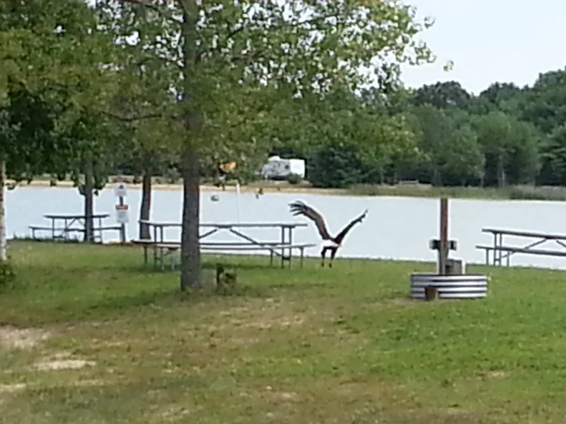 Lucky Lake Campground & Otdr