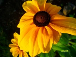 Whispering Valley Camp Ground