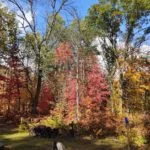 Great Circle Campground