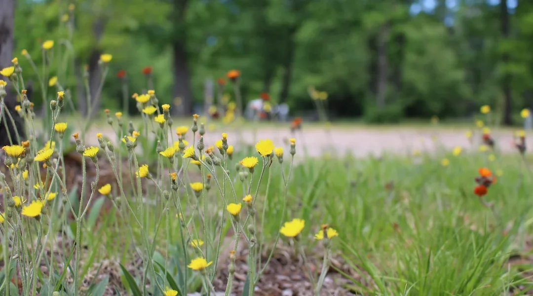 Twin Oaks Campground