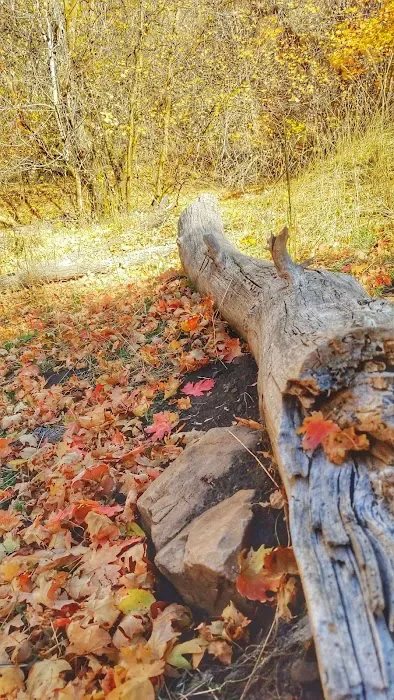 American Legion Campgrounds