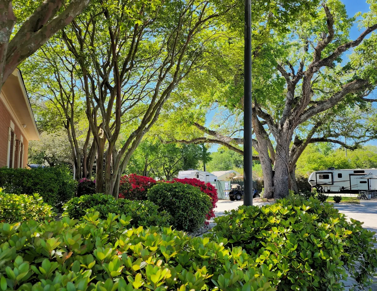 Majestic Oaks Rv Resort