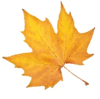 Campground At Barnes Crossing