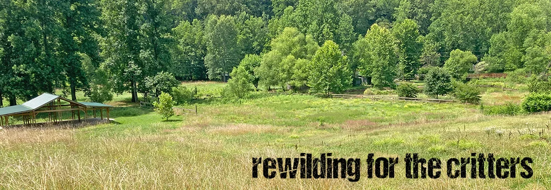 Whippoorwill Lake Campground