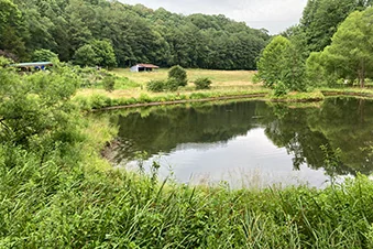 Whippoorwill Lake Campground