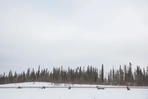 Taneycomo Campgrounds  Cabins