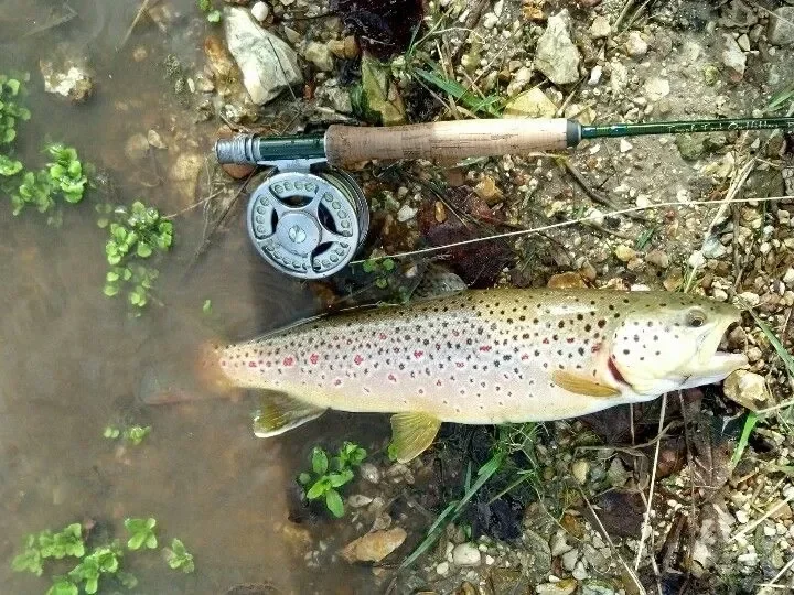 Three Springs Rv Campground