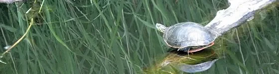 Lincoln Highway Rv Park