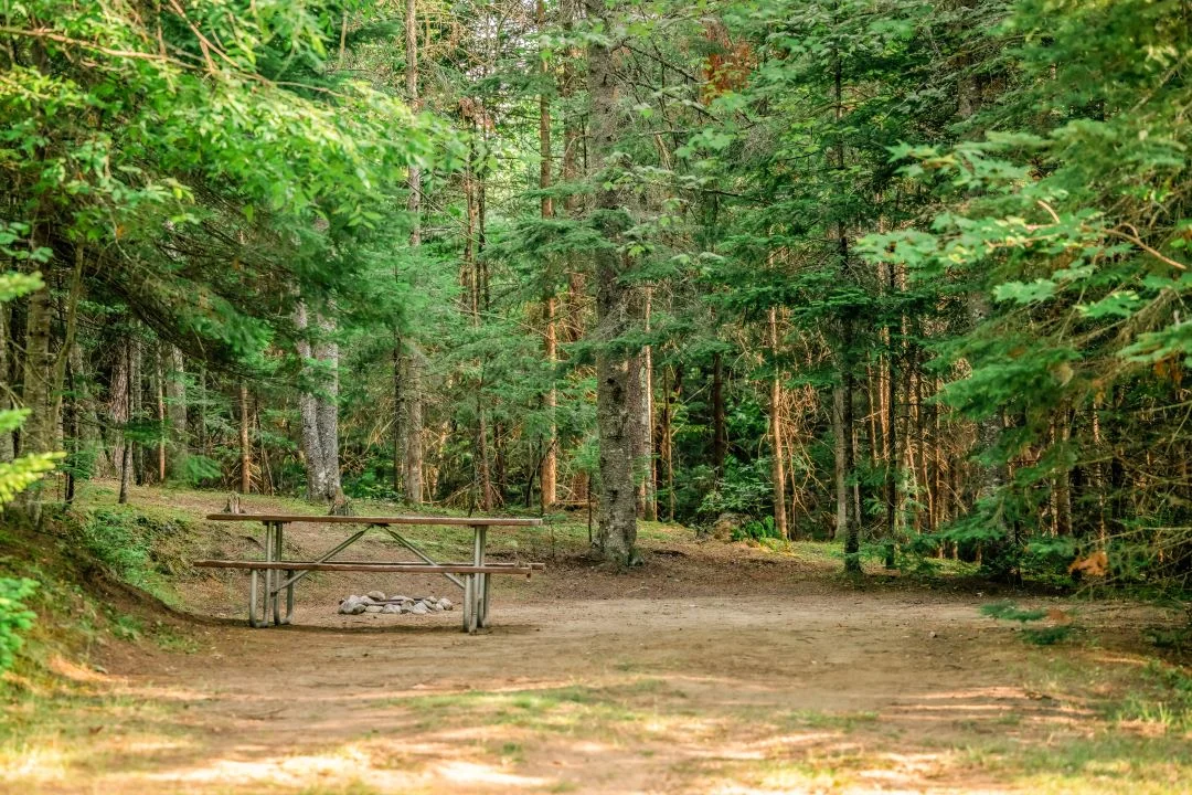 Beech Hill Campground