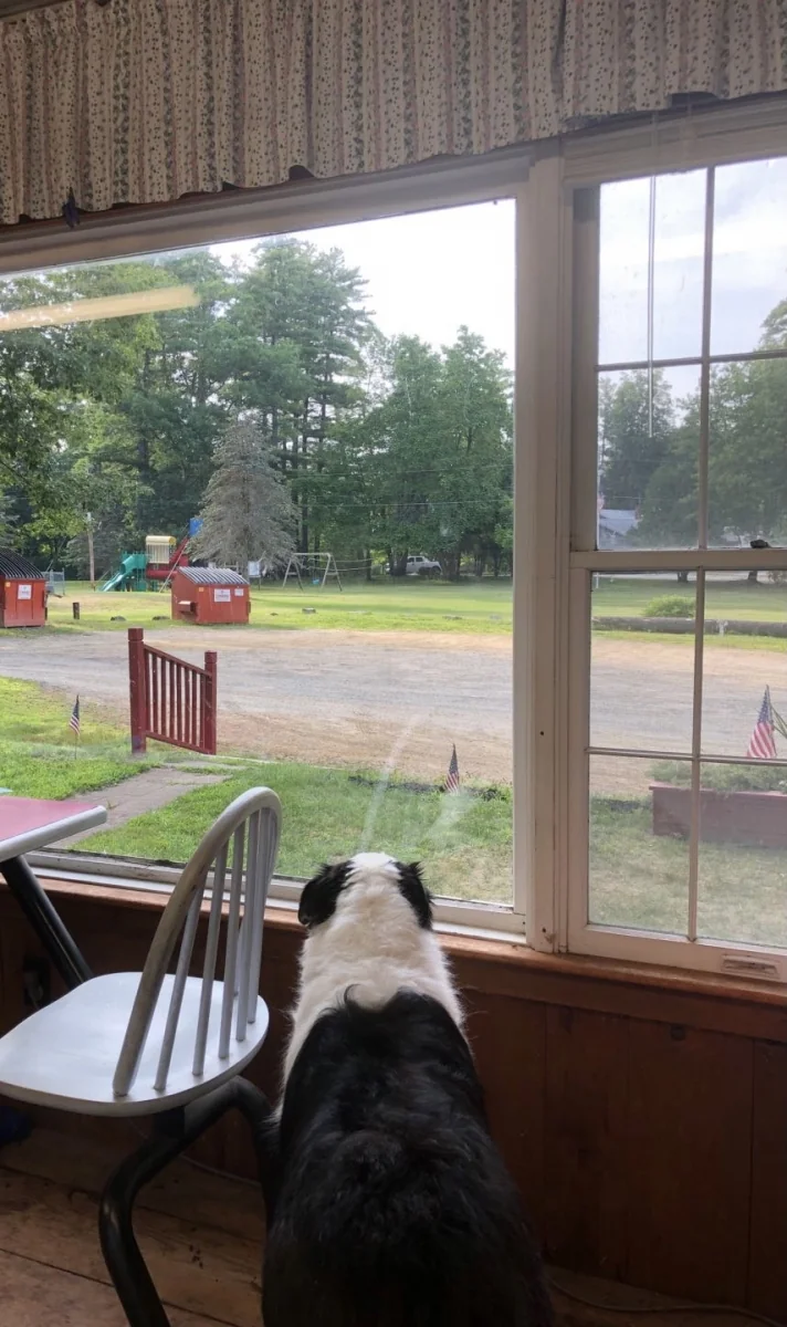 Green Gate Camping Area & Hall