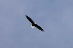 Israel River Campground