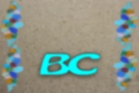 Beachcomber Campground Inc