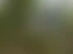 Beachcomber Campground Inc