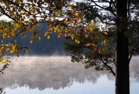 Bel Haven Lake Resort