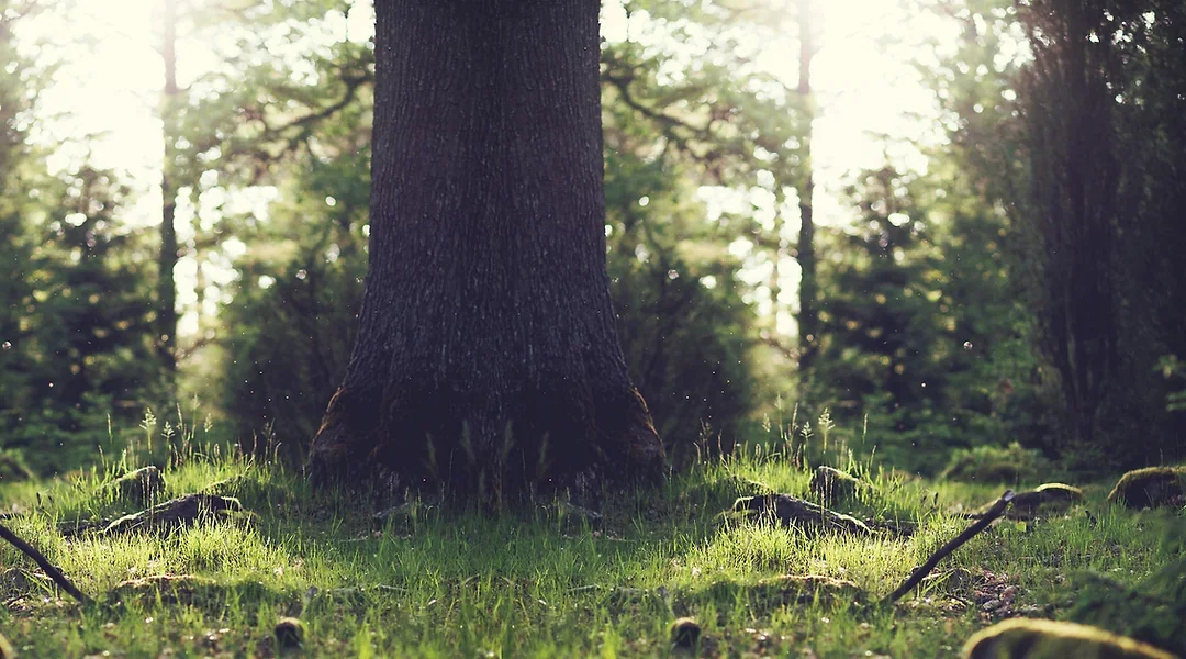 Sleepy Hollow Campground