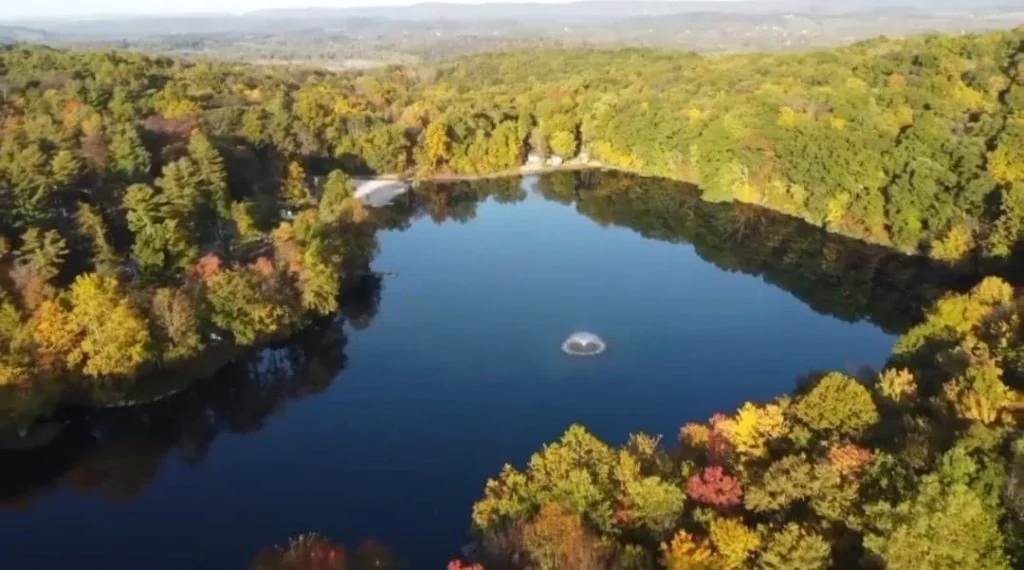 Tall Timbers Property Owners