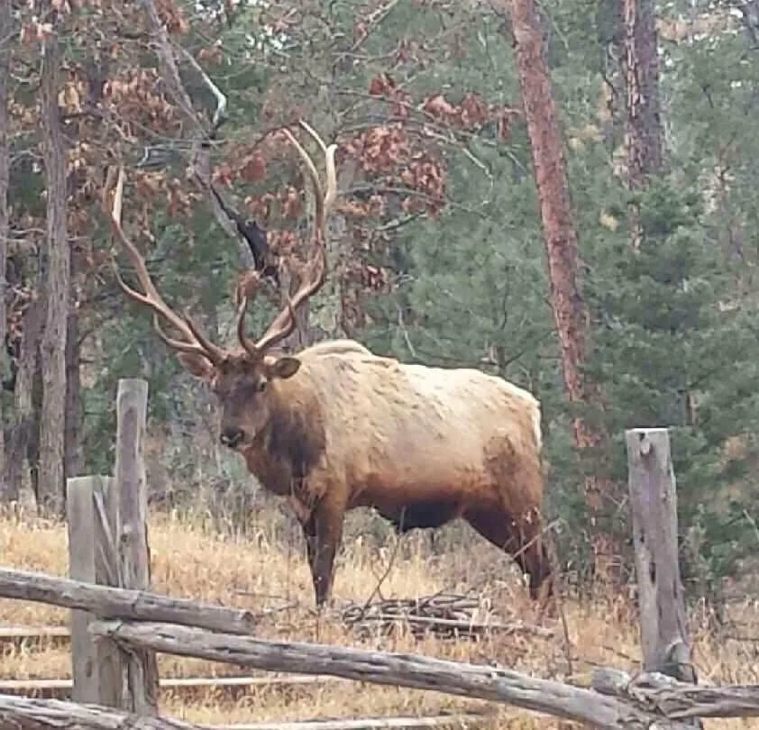 Bonito Hollow Rv-tent Cmpgrnd