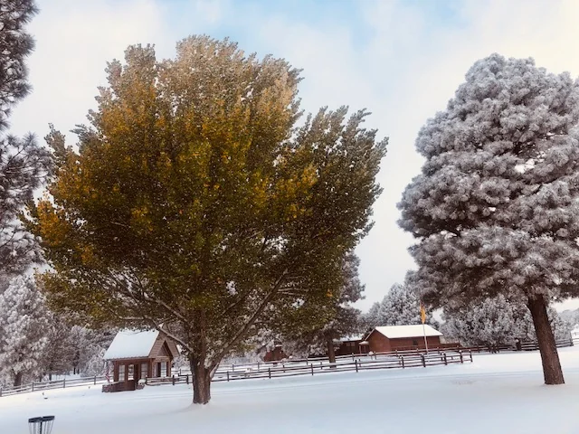 Little Creek Rv Park