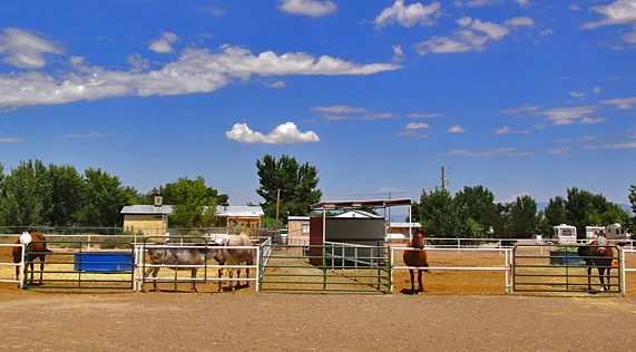 Kiva Rv Park & Horse Motel