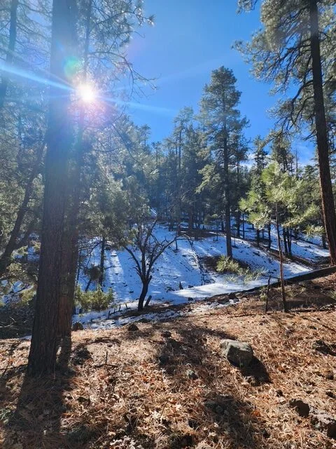 Apache Rv Park