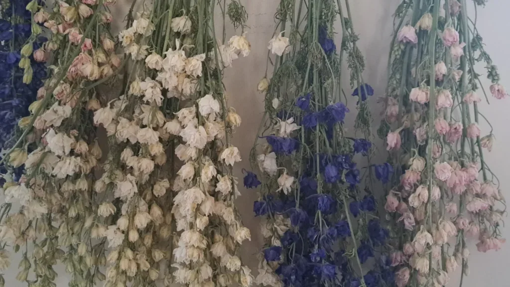 Genesee Country Campground