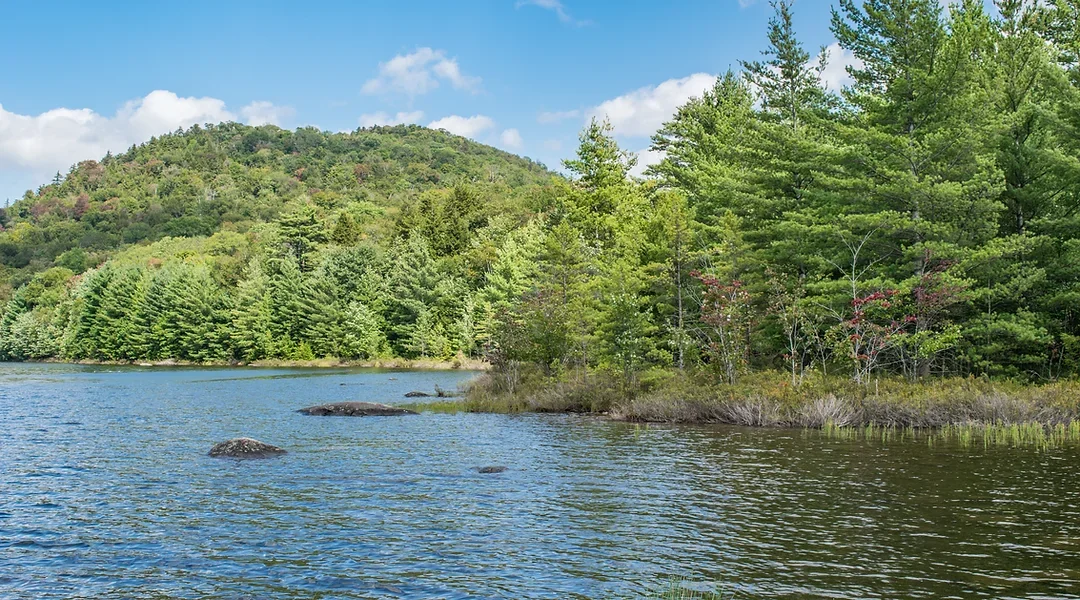 Pine Lake Park Campground