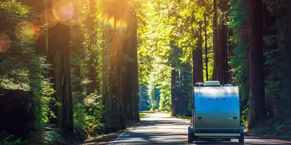 Timberline Lake Park