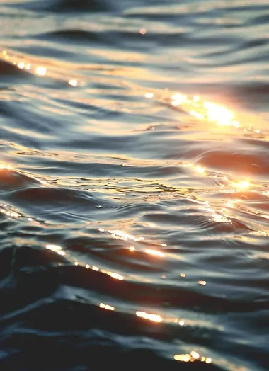 Cape Woods Campgrounds