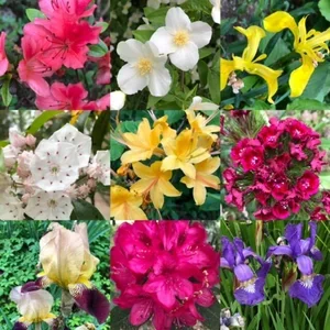 Blue Ridge Travel Trailer Park