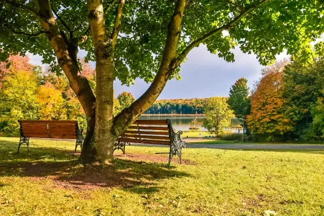 Sycamore Lodge Resort