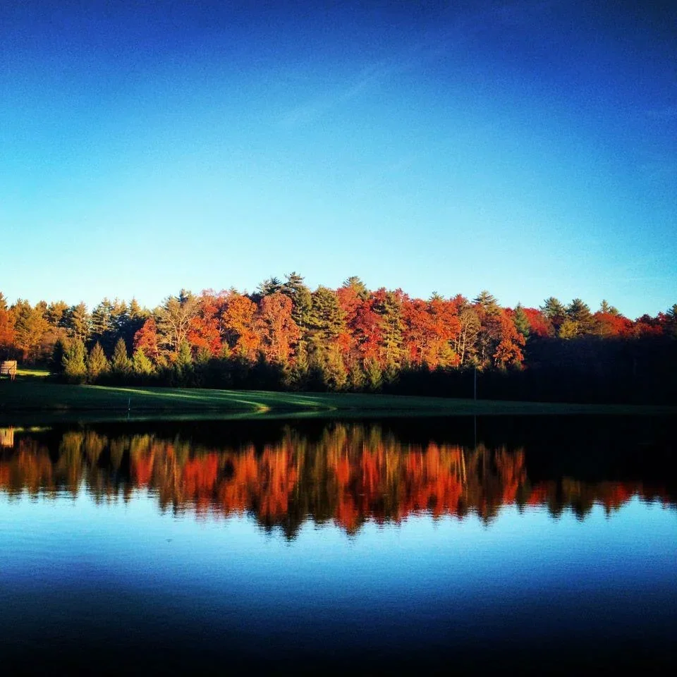 Raccoon Holler Campground