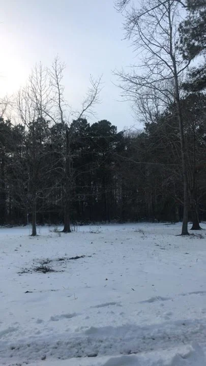 Sandy Point Resort Campgrounds