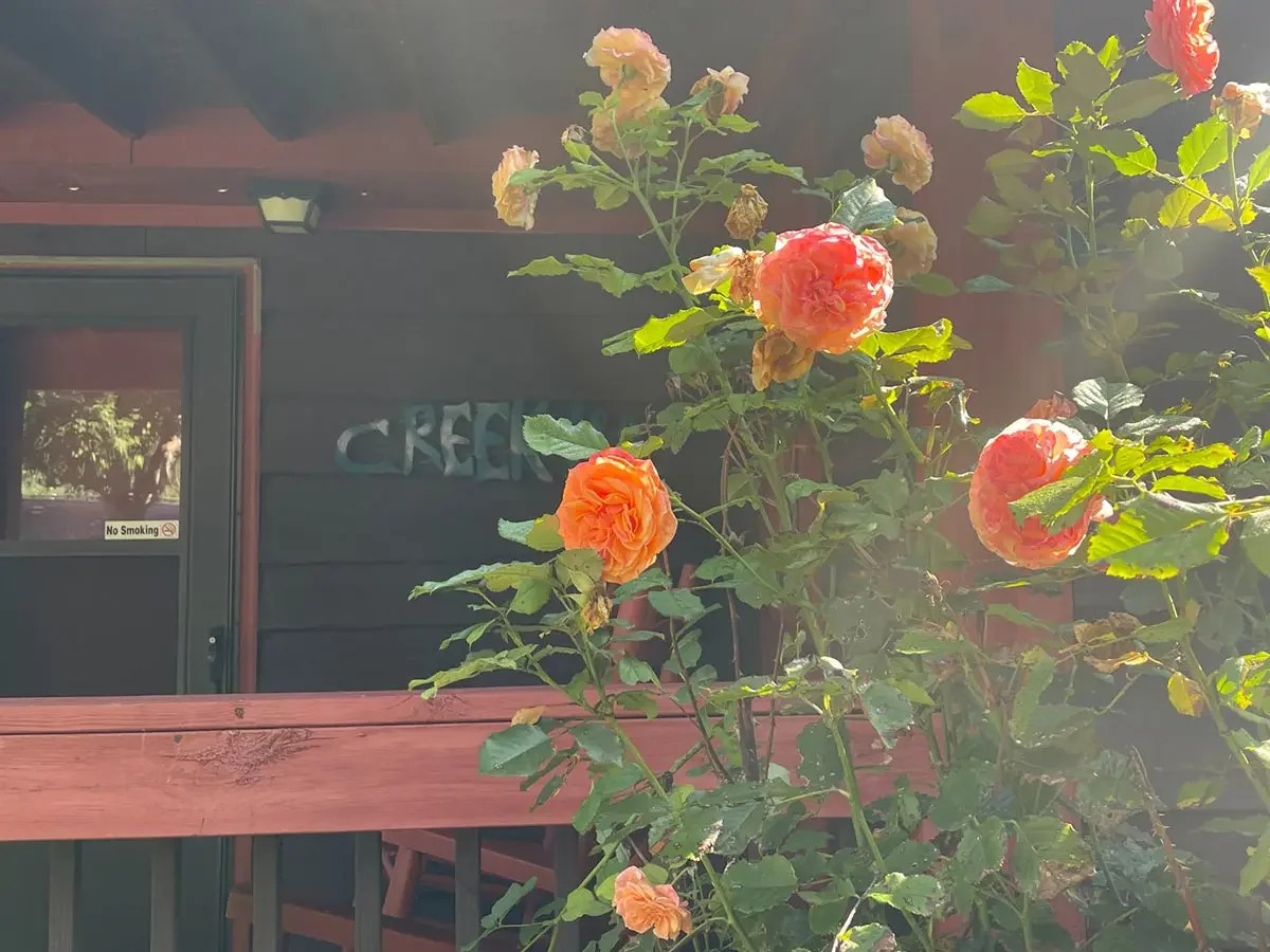 Smoky View Cottages & Rv Park