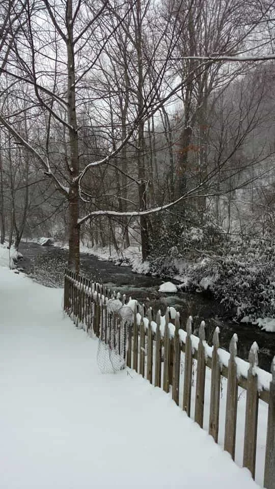 Smoky View Cottages & Rv Park