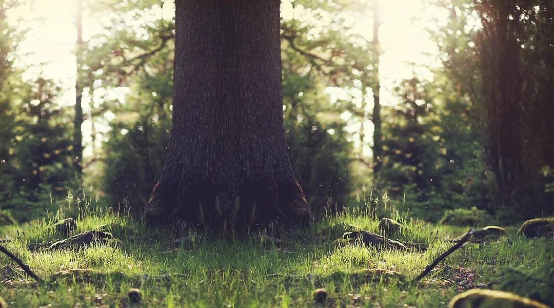 Hitching Post Campground