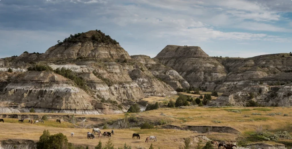 Medora Camp Grounds