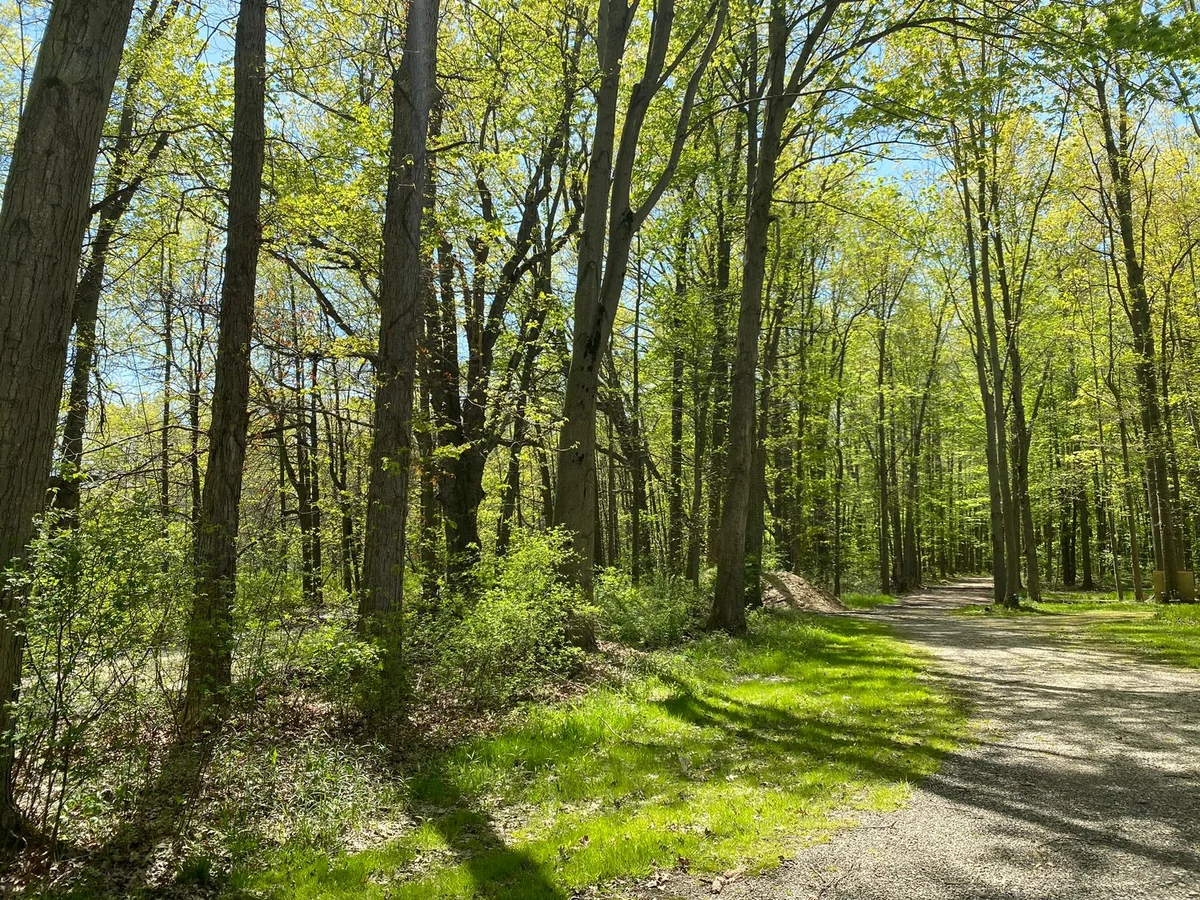 Willow Lake Campground