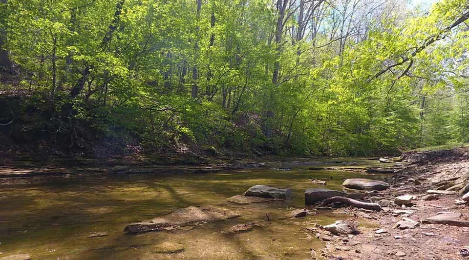 Lazy Village Campground-rv Prk