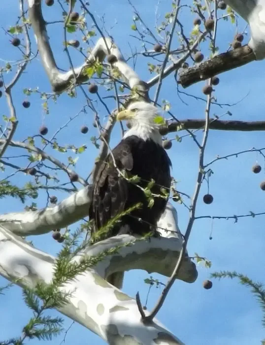 Beechwood Acres Camping Resort